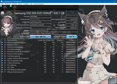 Samsung SSD 850 EVO 500GB SSD (MZ-75E500) gebraucht privatverkauf