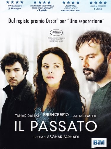 Past (The) (DVD)