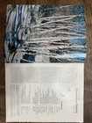 2 New York State Conservationist Nature & Wildlife Magazines  — photo 2
