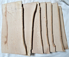 Platane Baum Bretter 7 St. Decko Epoxidharz Basteln сa.31x10-16x1-1,5cm.