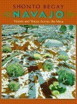 Navajo: Visions and Voices Across the Mesa Shonto Begay