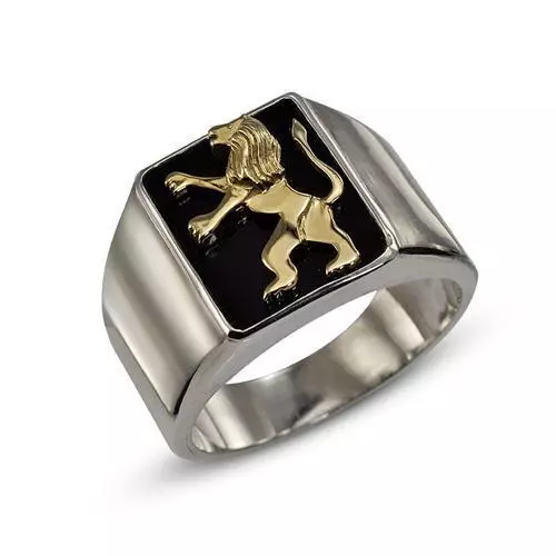 Lion of hotsell judah jewelry