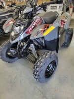 2022 Polaris PHOENIX 200