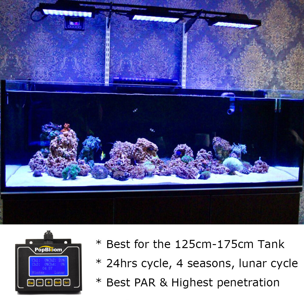 View of Best Reef Aquarium Lighting Reef Casa Studio 12 Vs Biocube Reef Casa