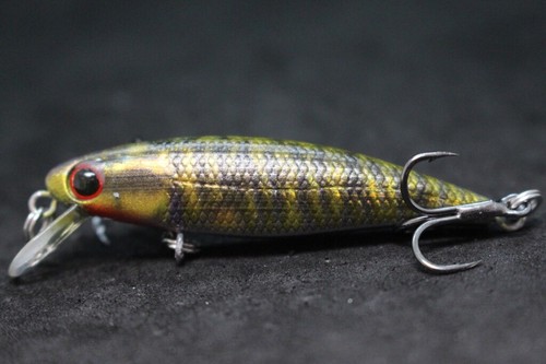 Señuelo de pesca Jerkbait cebo con señuelo 2 1/2 pulgadas apretado realista hundimiento lento HM639 - Imagen 19 de 49