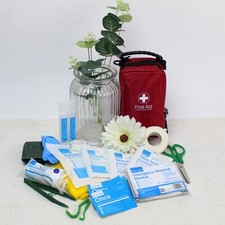 First Aid for Pets. Custom First Aid Kit for Dogs in Compact Red Bag.
