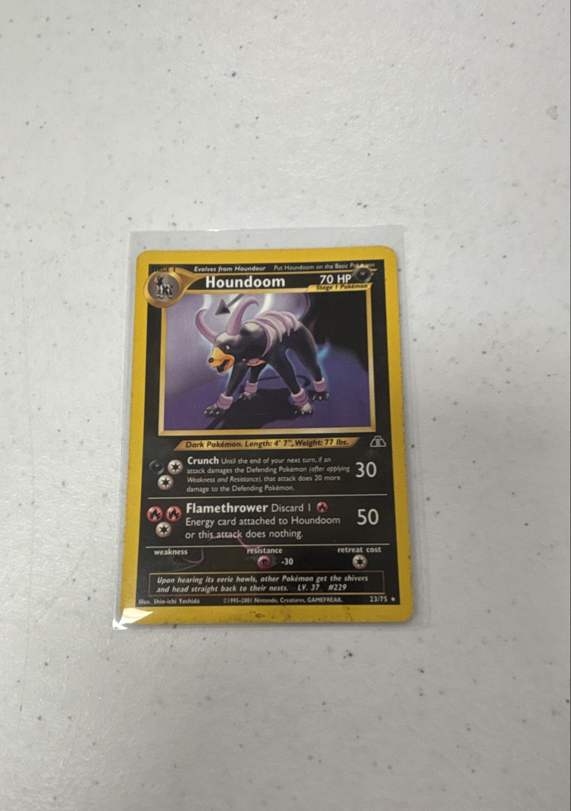 Houndoom 23/75 Neo Discovery Regular