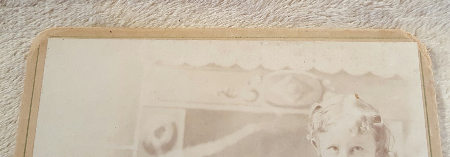 Bild 4 von 5