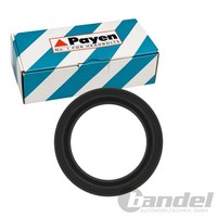 Payen Simmerring Wellendichtring Differential Ausgang Passend FüR Dacia Dokker D