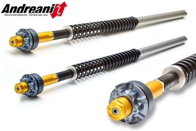 Patrone Hydraulik Gabel ANDREANI Misano Triumph Bonneville 2009 - 15
