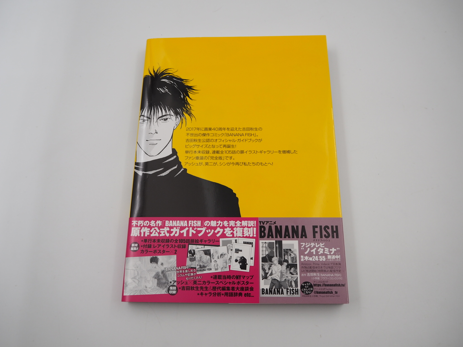 Banana Fish Official Guidebook Rebirth Perfect Edition Akimi Yoshida Japanese eBay