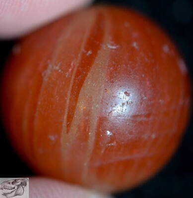 Handmade Butterscotch Custard Swirl Marble, 11/16 in, Near Mint- 8.2, S997