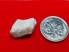 Australian (Victoria) Genuine (100% Real/Natural) Gold Nugget Specimen in Quartz