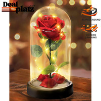 Ewige Rose Im Glas Mit Led-Licht – Geschenk Zum Valentinstag FüR Frauen