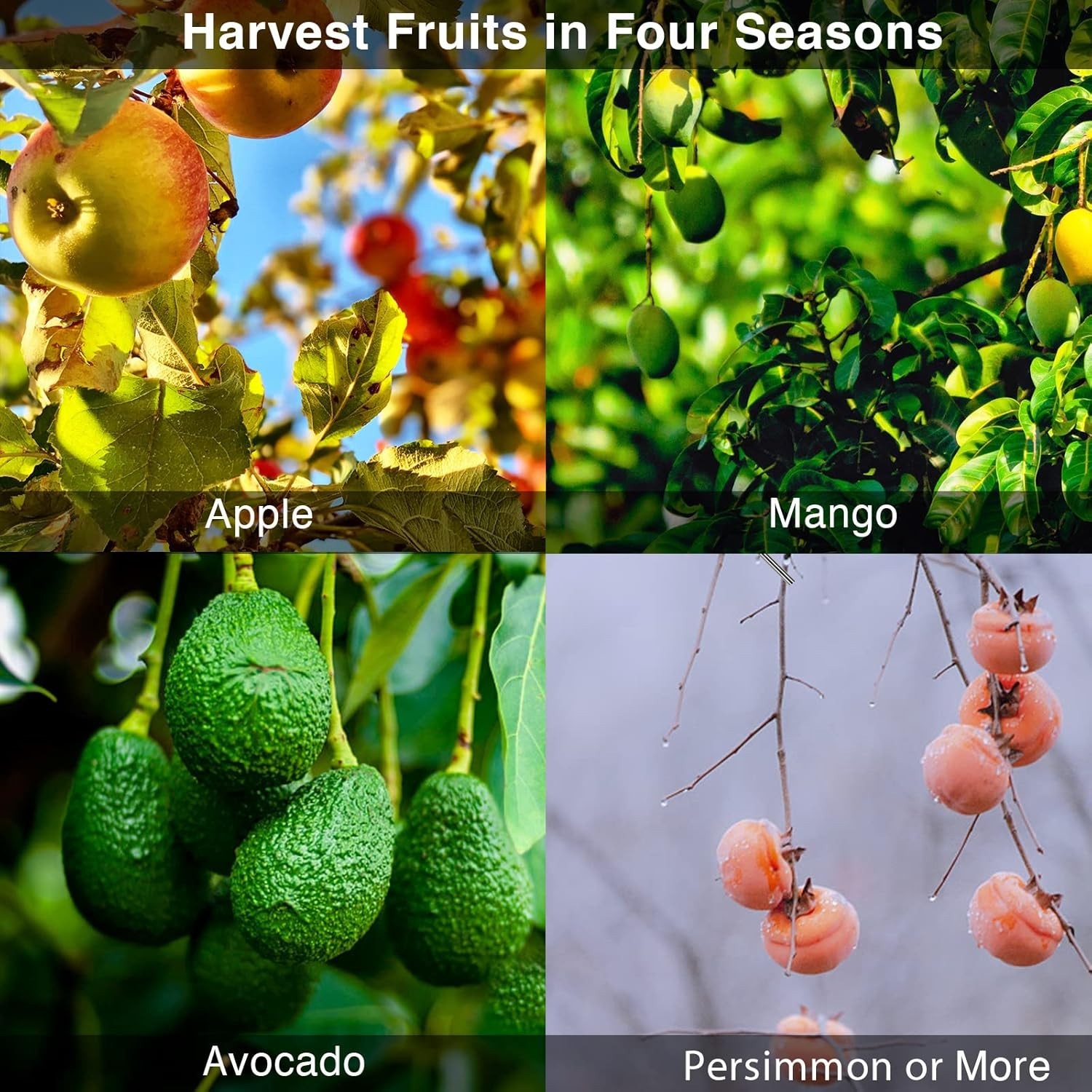 DonSail Fruit Picker Pole Tool with Basket Long Handle, 35-65 Inch Adjustable Ap