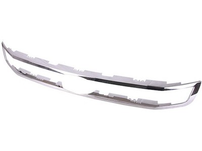Action Crash Grille Molding fits Ford Expedition 2022-2024 49DQXRKF
