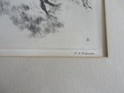 Picture 5 of 8