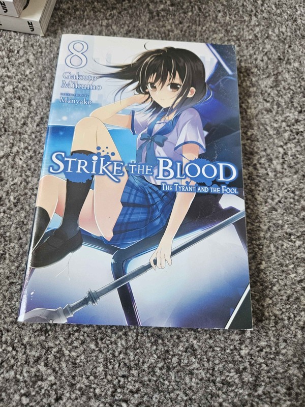 Strike The Blood Light Novel Volume 8