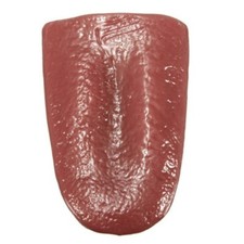Specially Function FOR Halloween Close-up terror Realistic Tongue Fake Tongue