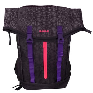 lebron ambassador bag