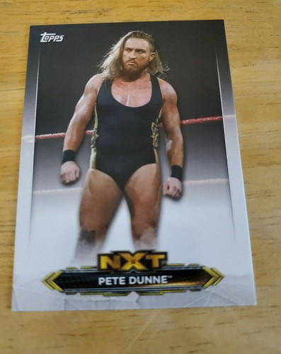 2020 Topps WWE NXT Roster Insert Cards (1-66) - Picture 47 of 76