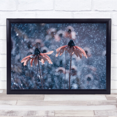 Blume Flora Floral Schnee Winter zartes Bokeh Schneefall Wandkunstdruck