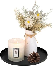 Metal Round Tray, Rustproof Coffee Table Tray, Industrial Serving Tray, 9.8"