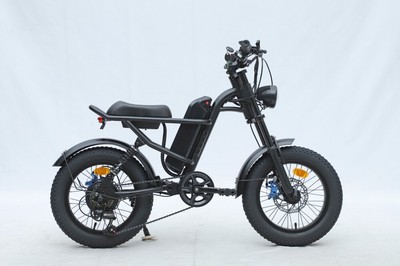 Elektrofahrrad Ebike 36V 250W E-Mountainbike Fat Tire 16  15Mph E-Bike