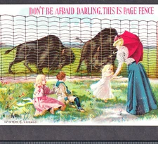 Wild West 1800's Buffalo Charging Victorian Lady Adrian MI Page Fence Trade Card