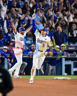Freddie Freeman 2025 World Series Game 3 Walk Off Dodgers 8x10 MLB Photo