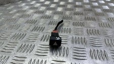 Clignotant Citroen C4
