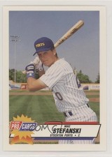 1993 Fleer ProCards Minor League Mike Stefanski #748 0w6