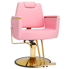 Heavy Duty Styling Chair with 330 Lbs Capacity and Removable Headrest for Salon