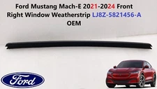 Ford Mustang Mach-E 2021-2024 Front Right Window Weatherstrip LJ8Z-5821456-A OEM