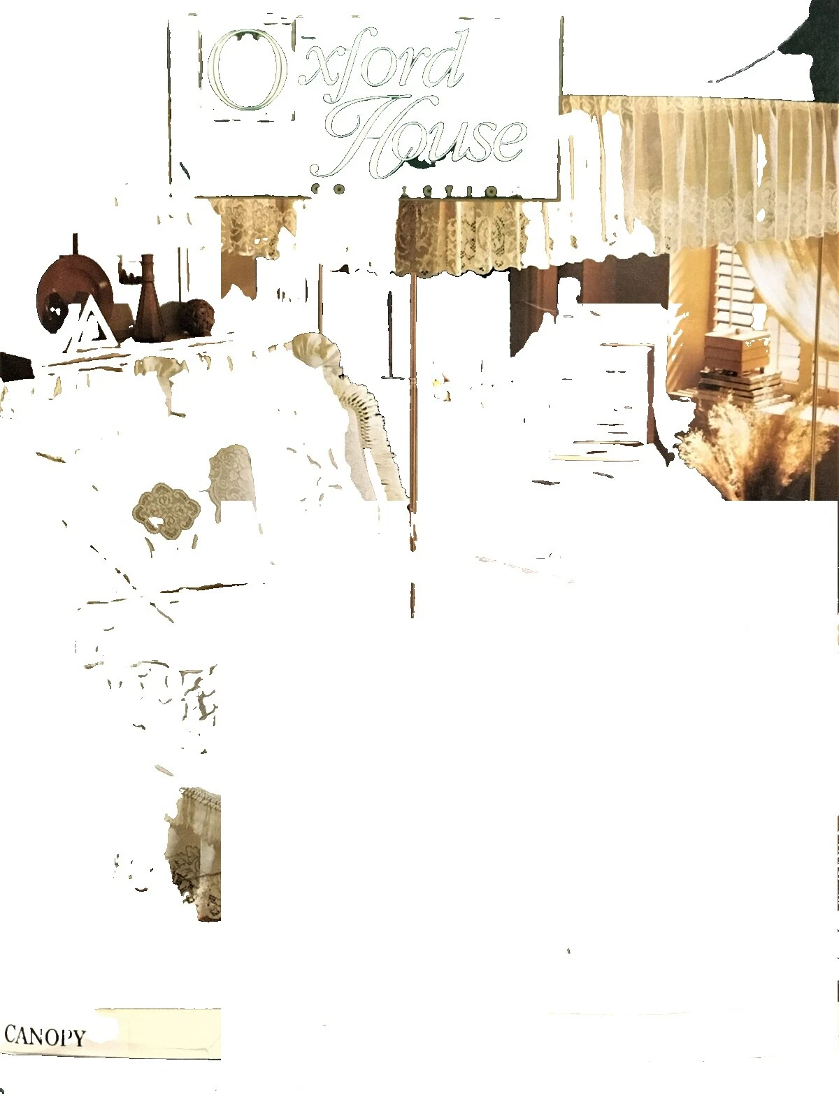 Red de cama victoriano y toldos