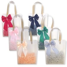 2X Small Clear Frosted Gift Bags with Handle, Reusable Plastic Bag Party Favors
