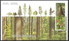 🍁Canada  #2462/ 2463    "YEAR OF THE FOREST"    Brand New 2011  First Day Cover