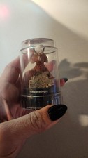 Good 2 Grow PODZ Jurassic World Triceratops F...