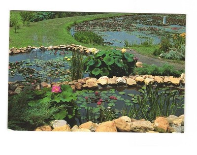 Perry's Water Gardens Franklin NC Vintage postcard unposted