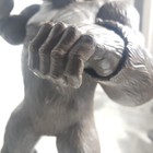 Foto 10 di 17