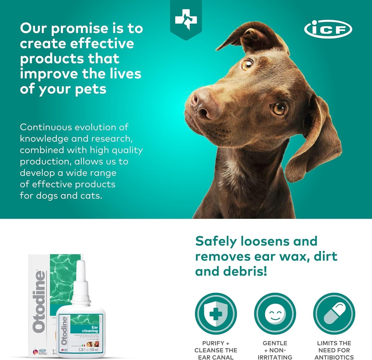 Otodine Ear Cleaner Antibacterial Solution For Pet Dog Cat 100ml eBay