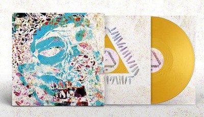 Warpaint The Fool - Andrew Weatherall Sessions (RSD 2021) (Schallplatte)