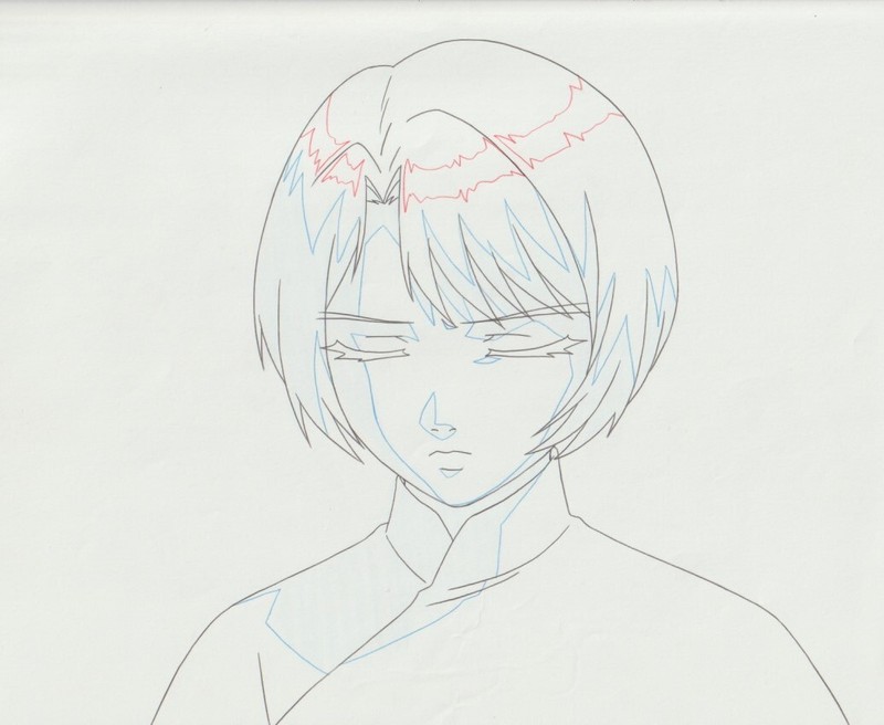 The Twelve Kingdoms Juuni Kokki Genga Douga Original Sketches Pierrot - Yuka