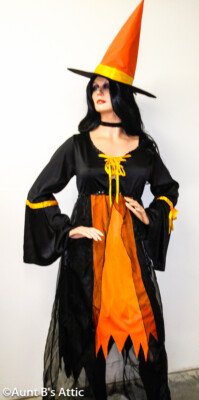 ladies witch dress Renaissance Medieval Witch Fancy Dress Costume Gothic Women Victorian Gown  Dress
