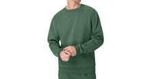 Hanes Men's Green Pullover Long Sleeve Crewneck Fleece Sweatshirts CPF100: S