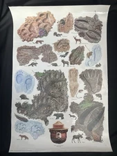 Vintage Smokey The Bear Forest Fire Prevention Wildlife Poster ANIMAL FOOTPRINTS