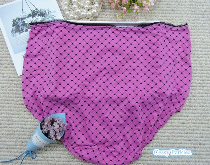 SNC31 US "CACIQUE" Plus Size Extra Soft Microfiber HighWaist Full