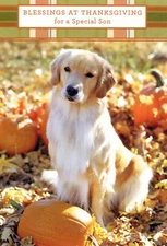 Religious THANKSGIVING Greeting Card FOR SON, Golden Retriever by DaySpring +✉