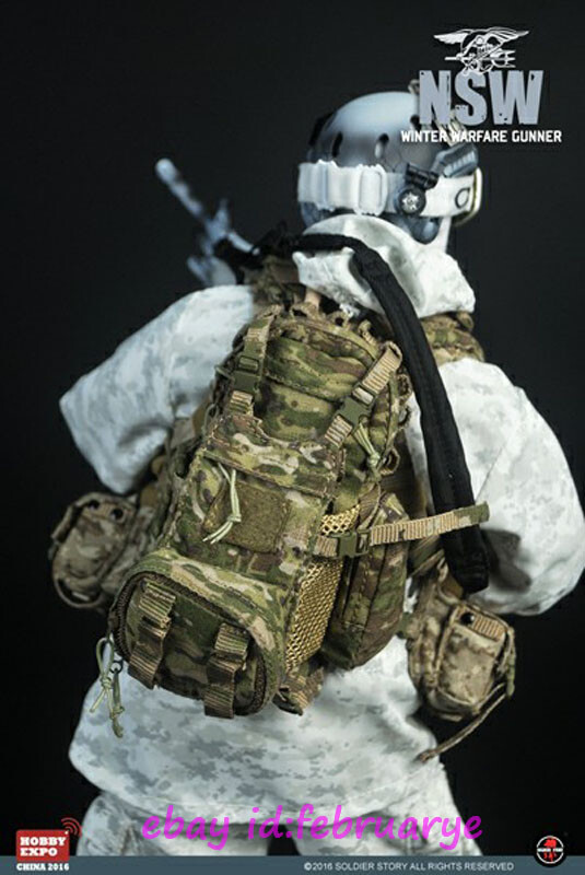 NSW WINTER WARFARE GUNNER フィギュア Perfect Soldierstory 1/6 SS095 NSW Winter Warfare Gunner Action