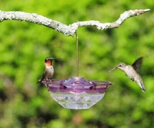 GC - Aspects - HummBlossom 4 oz. Feeder - Plu...